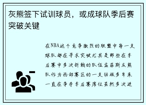 灰熊签下试训球员，或成球队季后赛突破关键