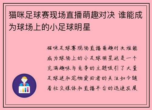 猫咪足球赛现场直播萌趣对决 谁能成为球场上的小足球明星